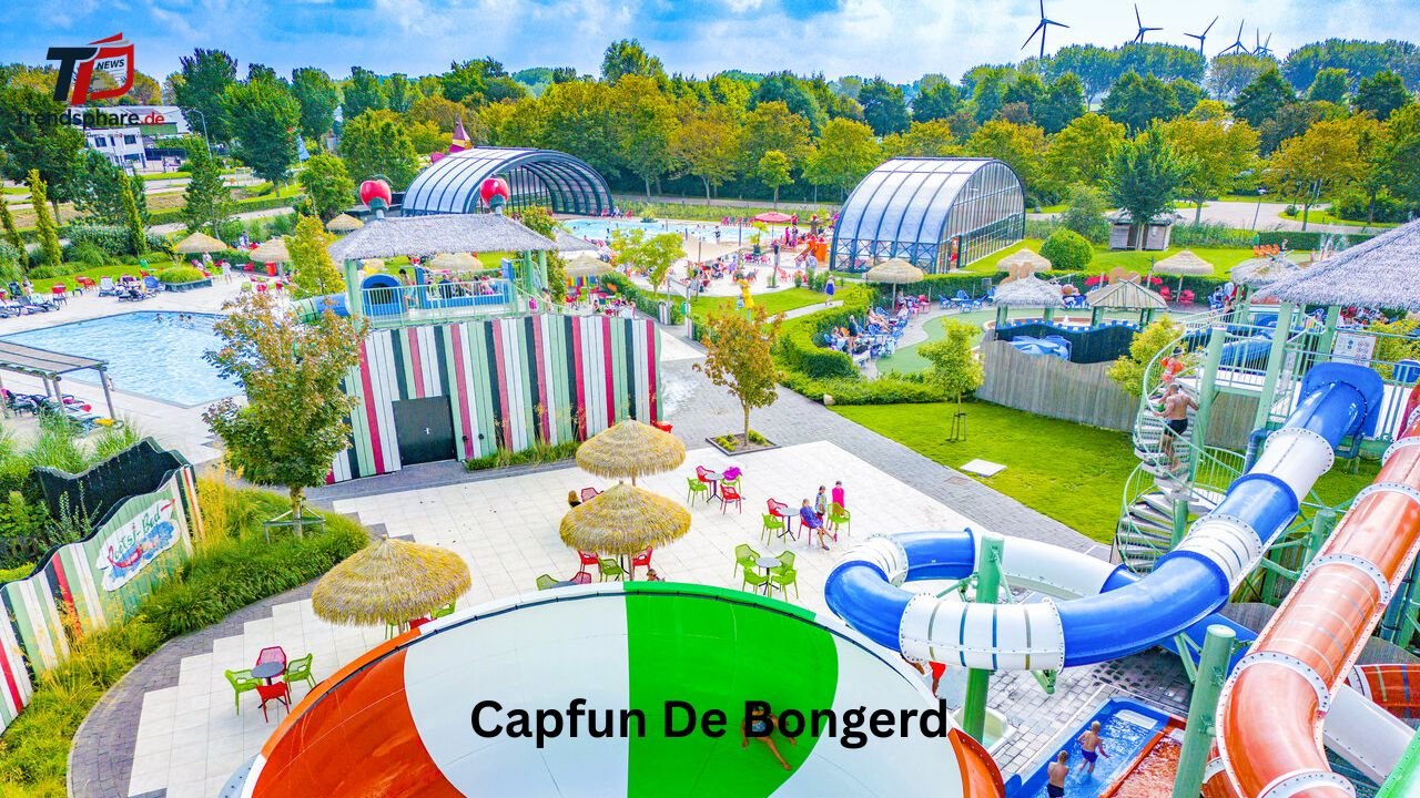 Alerta de Calor Capfun De Bongerd