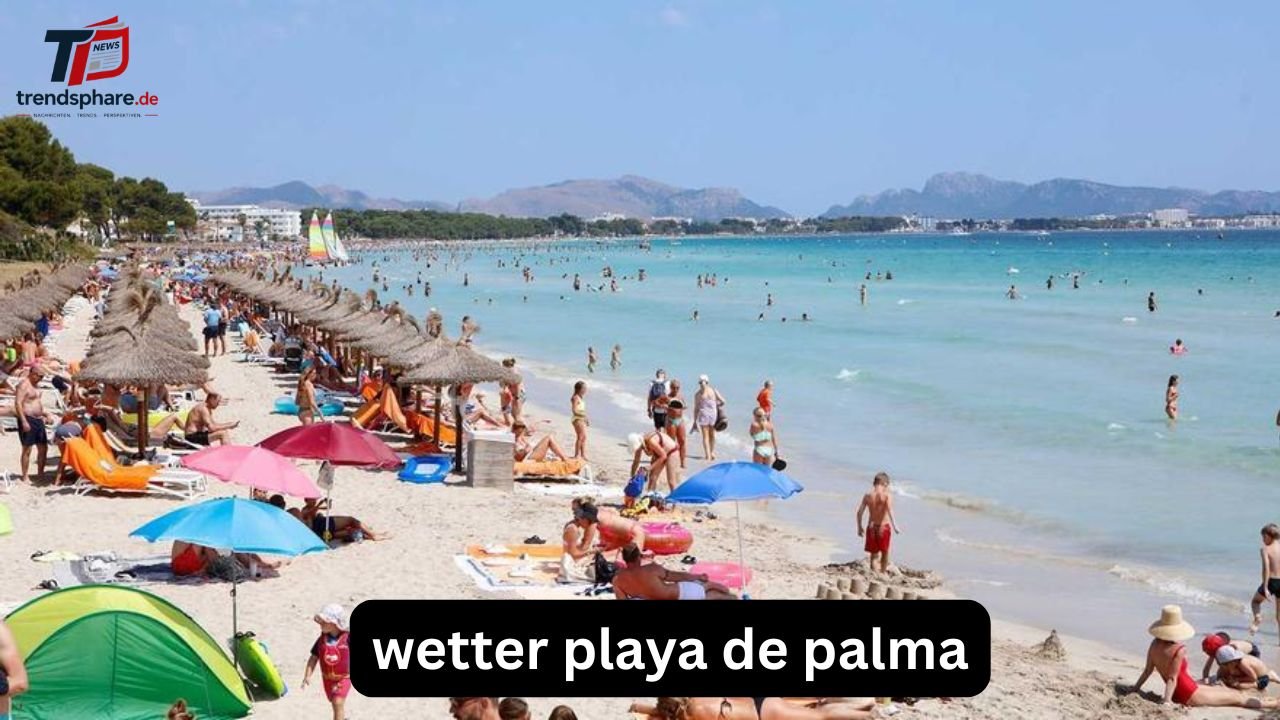 Tour de France Sieger wetter playa de palma
