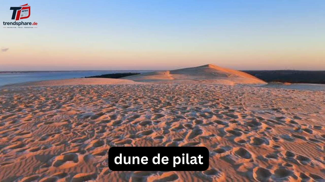 prairies de la mer Dune de Pilat